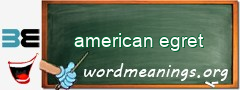 WordMeaning blackboard for american egret